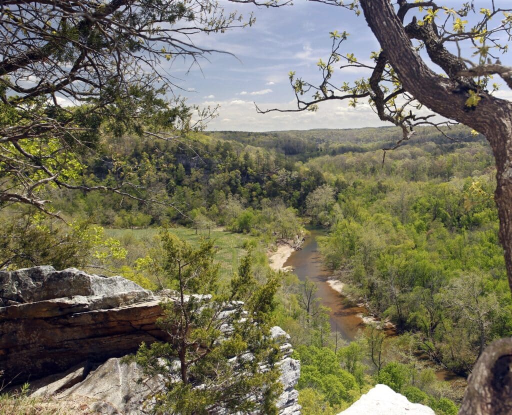 Get Involved in Conservation