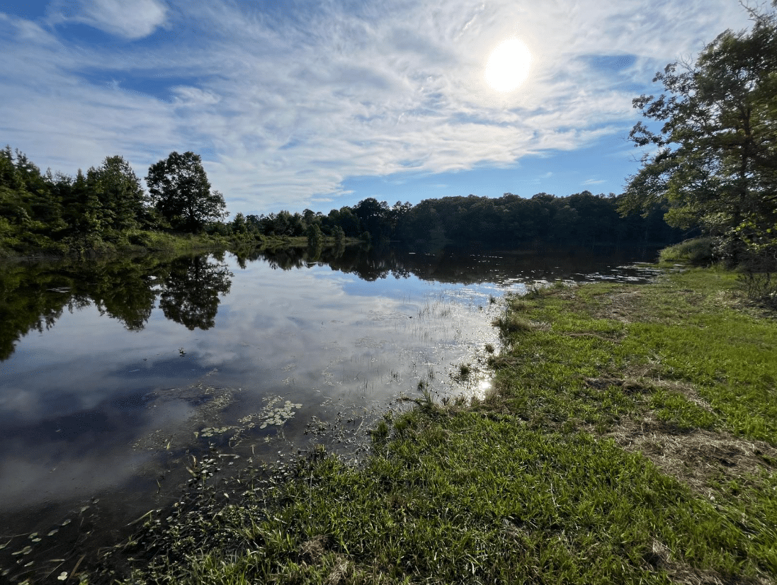 CIP Fishing Spot