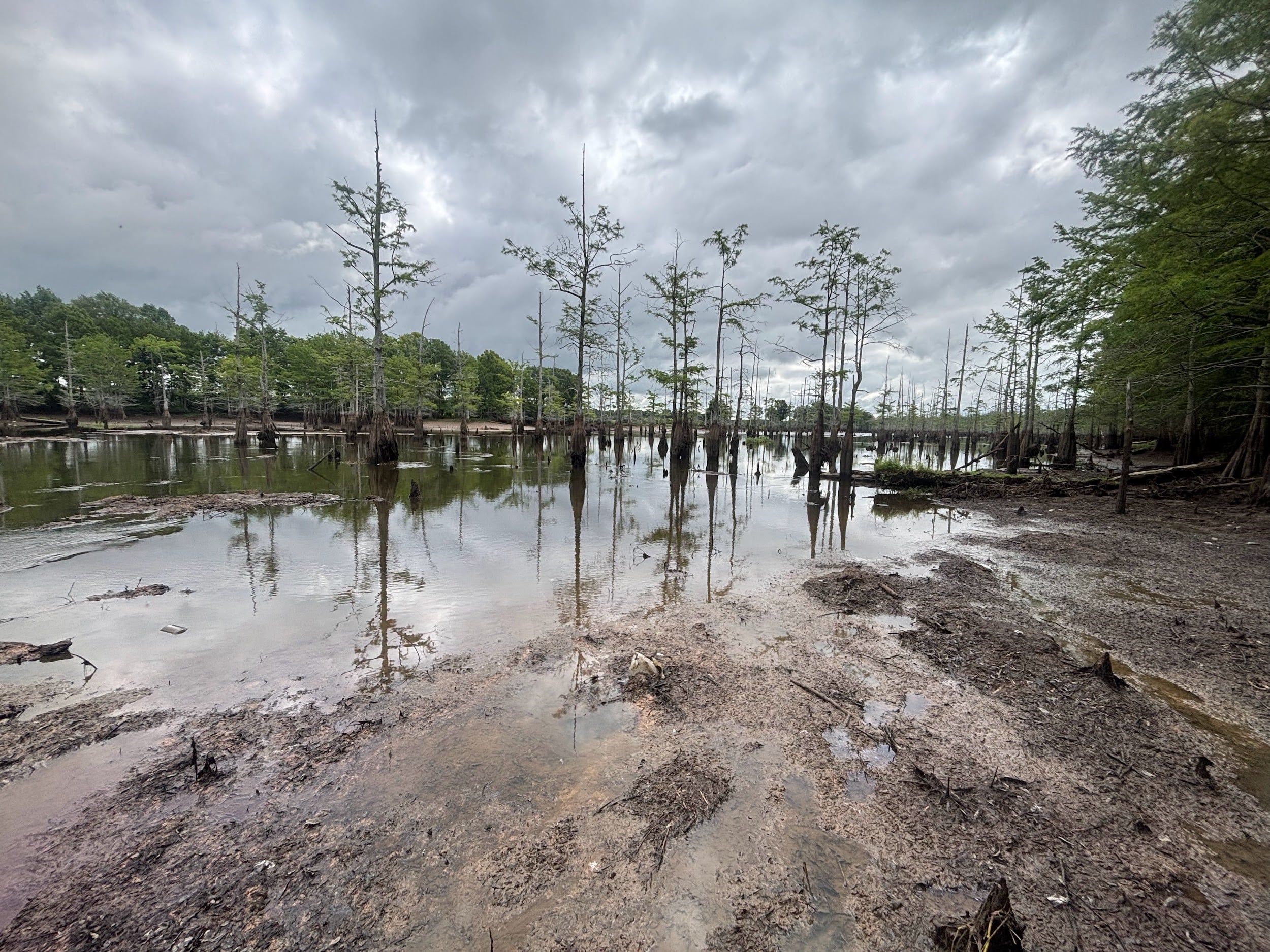 MUD FLAT