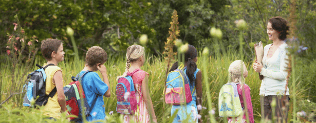 Bring The Outdoors Into Your School