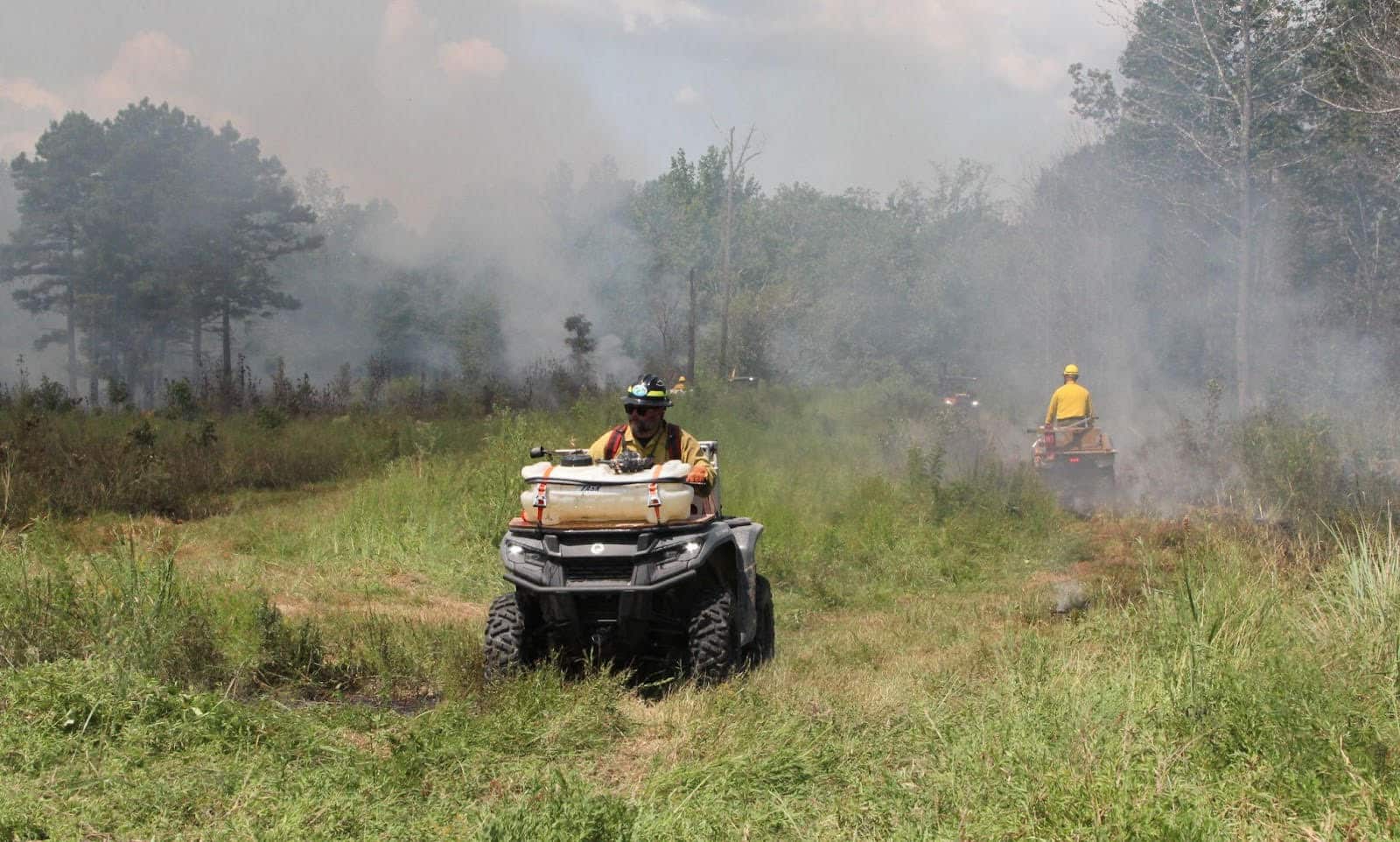 SMOKY FIELD