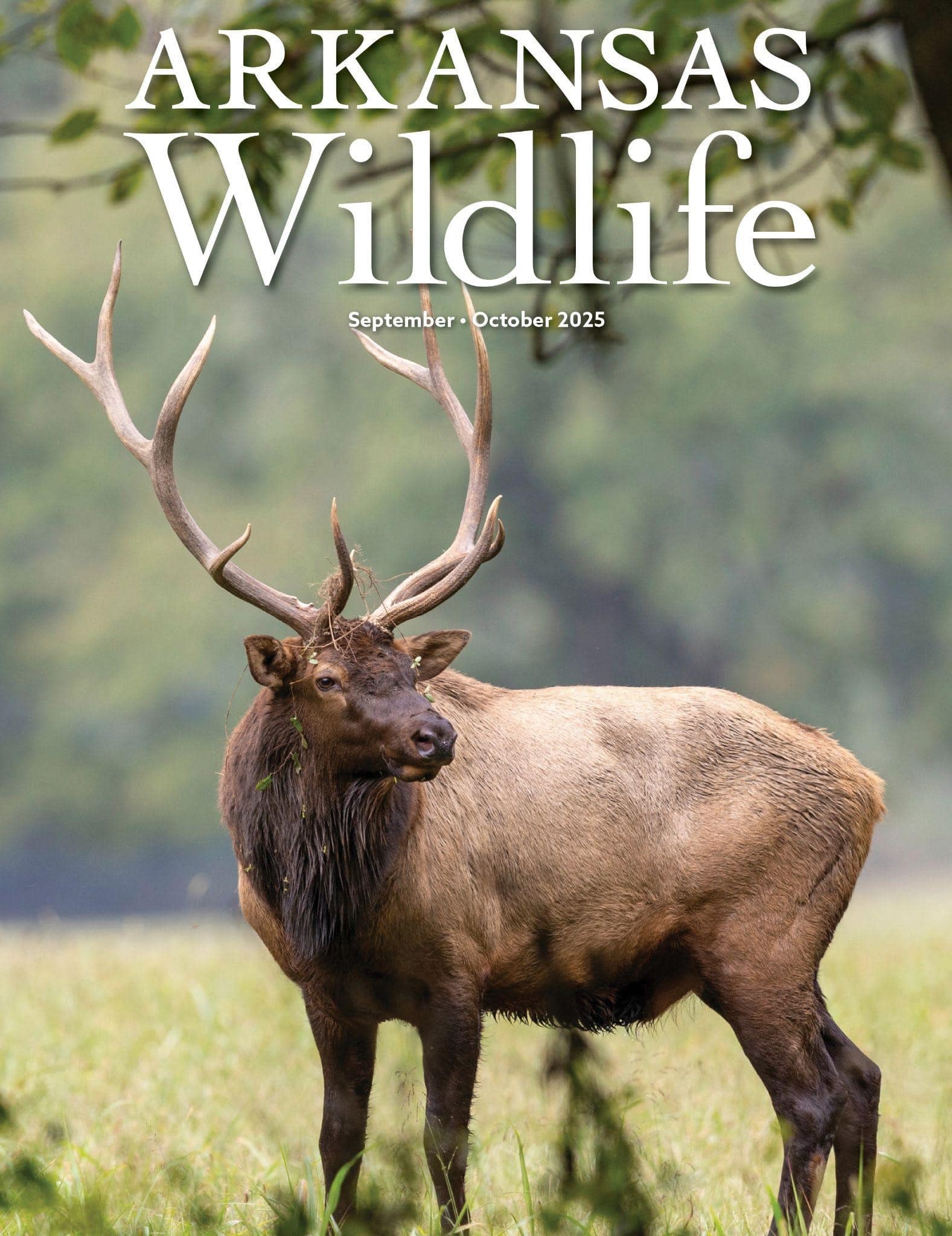 AW SEPTEMBER ISSUE
