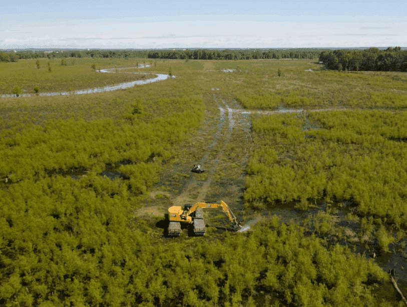 CUTTING GREEN PATH