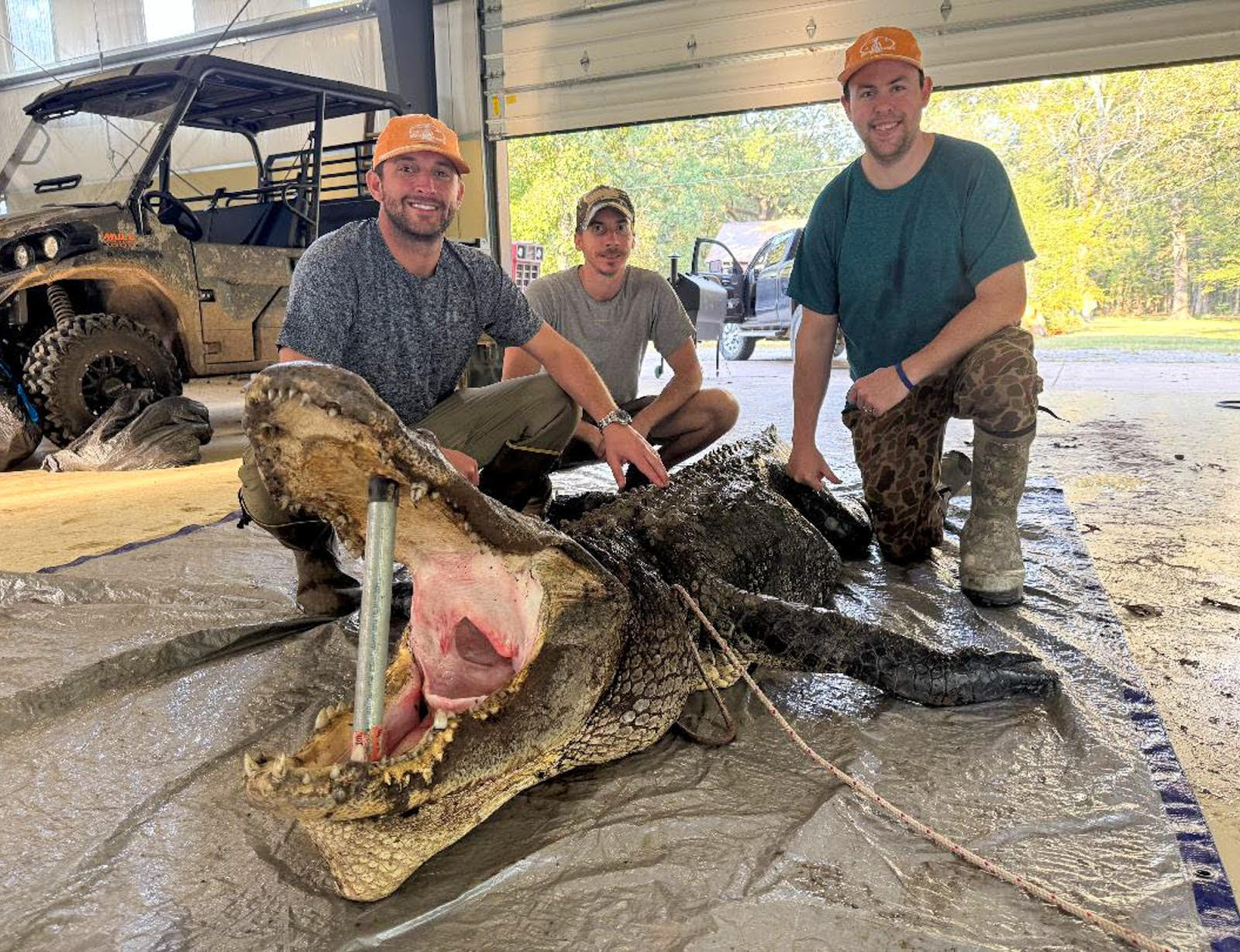 MEN WITH ALLIGATOR