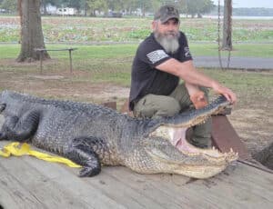 ALLIGATOR: David Snowden’s 13-foot, 1-inch alligator taken during the first weekend of the 2025 Arkansas alligator hunting season was the largest of the season. Pictured from left to right: Jordan Tortorich, Grant Wynne and David Snowden. Photo courtesy of David Snowden.