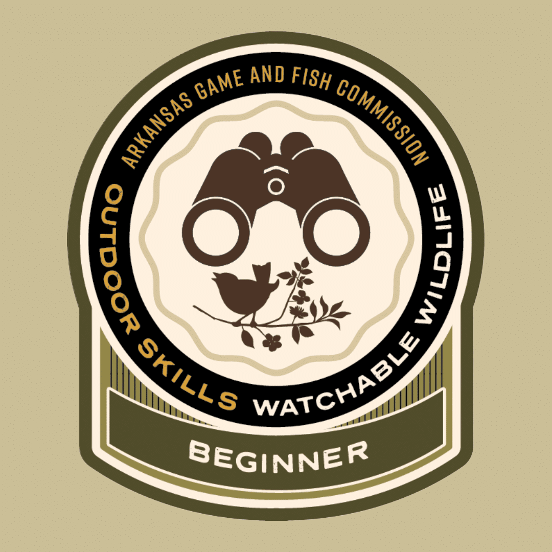 AGFC Outdoor Skills Sticker with binoculars and a bird.