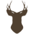 An icon of the shape of a brown deer head with antlers colored brown.