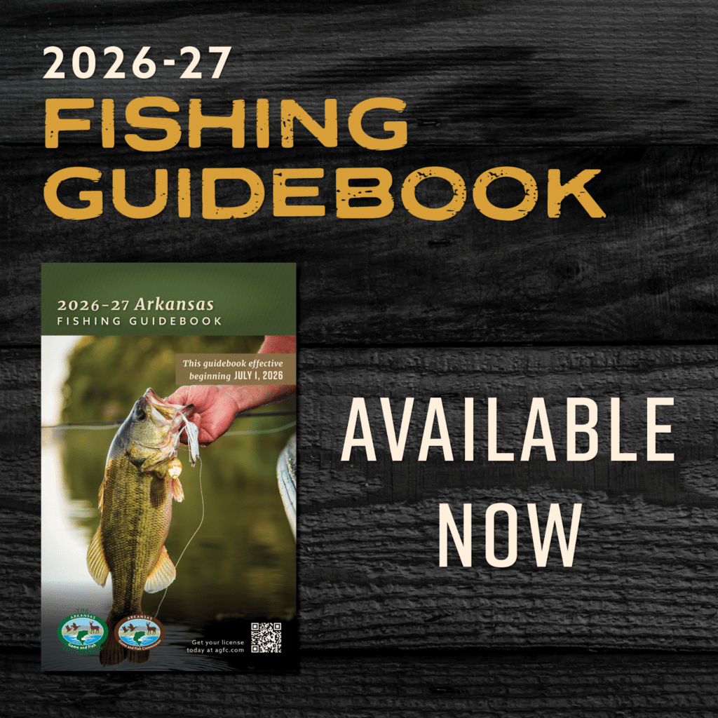 arkansas fishing net laws Arkansas 2026-27 Fishing Regulations Changes in Effect, New Guidebook  Released • Arkansas Game & Fish Commission