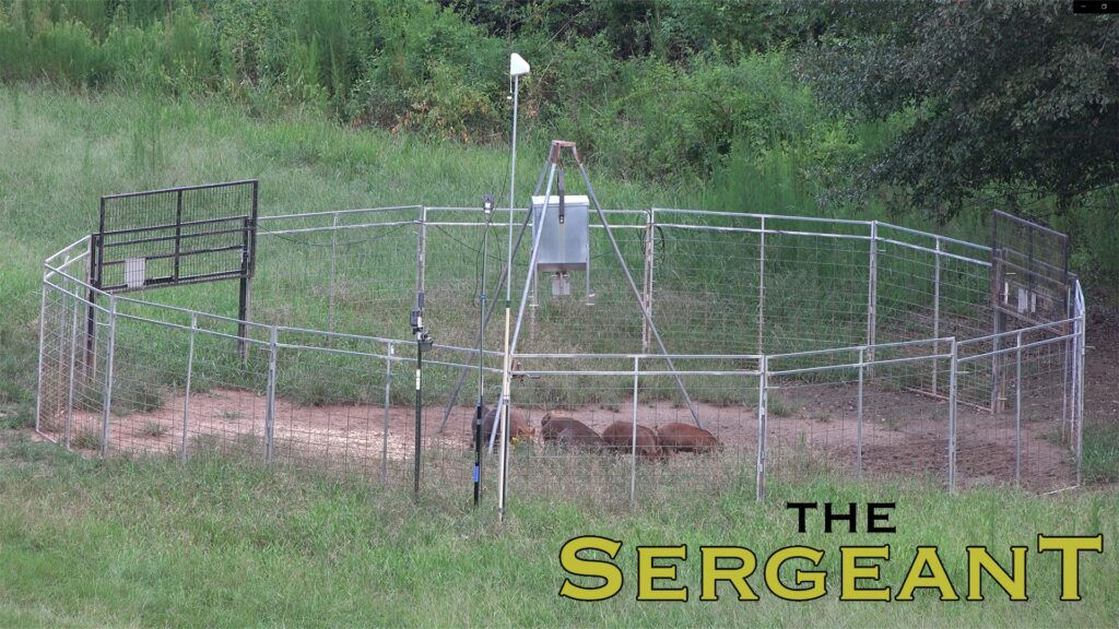 A Jager Pro trap for catching feral hogs.