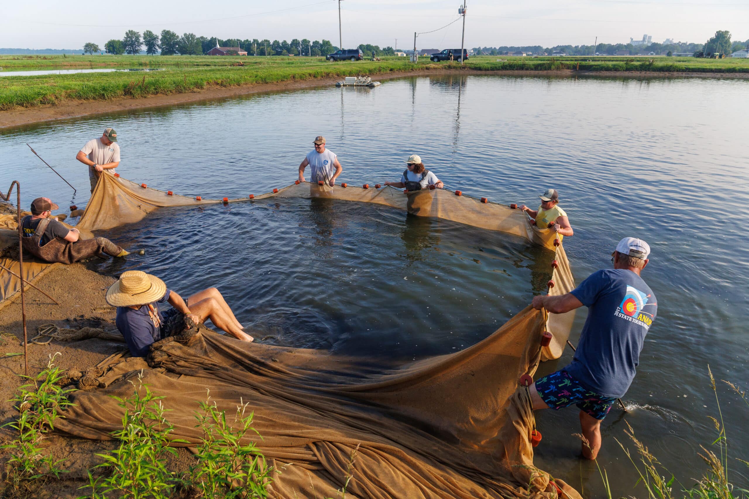 AGFC employees seine Legacy Lunker Largemouth Bass fingerlings, Monday, June 1, 2026 at the Joe Hogan State Fish Hatchery in Lonoke, Ark.