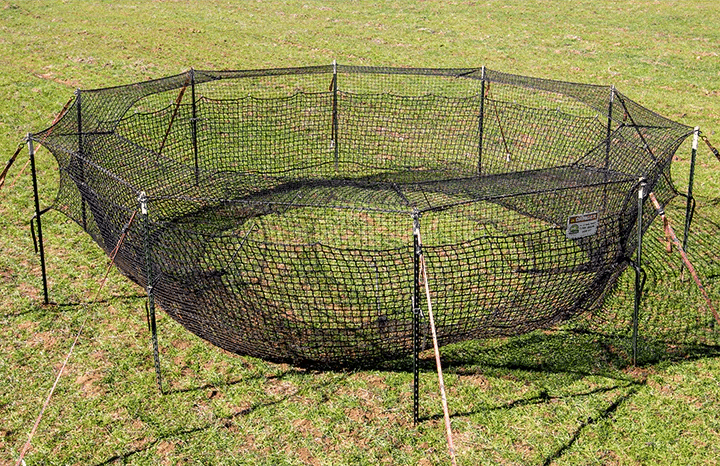 A net trap for catching feral hogs.