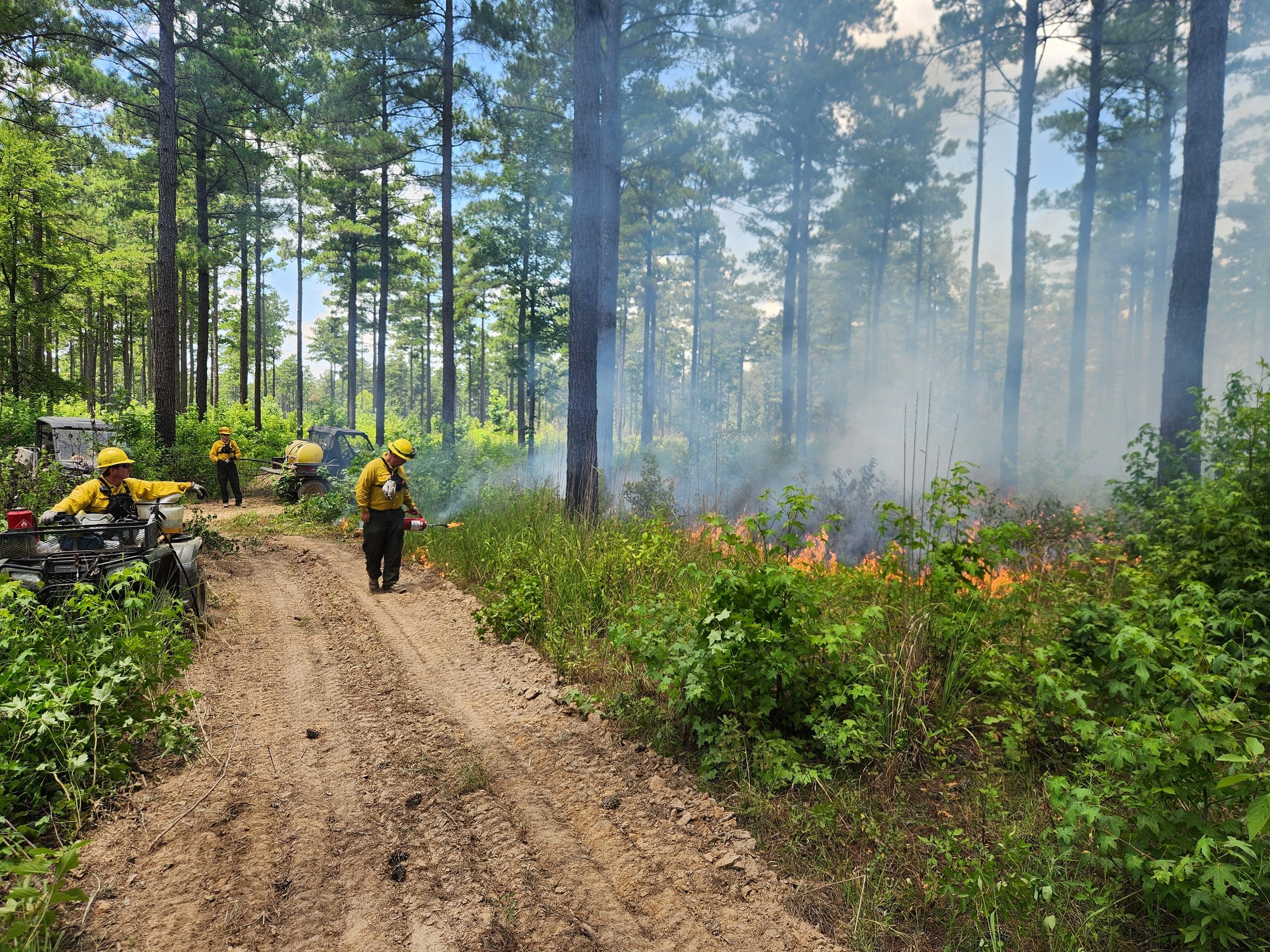 Prescribed burners performing a burn.